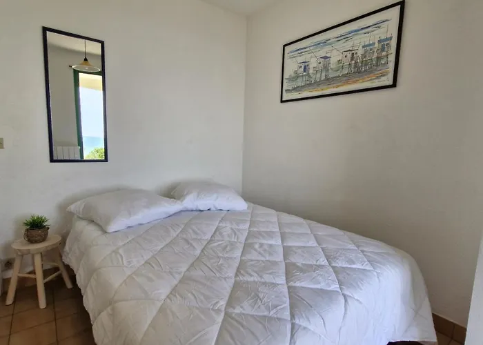 Palais Sur - Vue En Rez-de-chaussee - Corniche De Nauzan 公寓